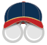 Minnesota Twins Icon